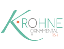 Logo-KROHNE2